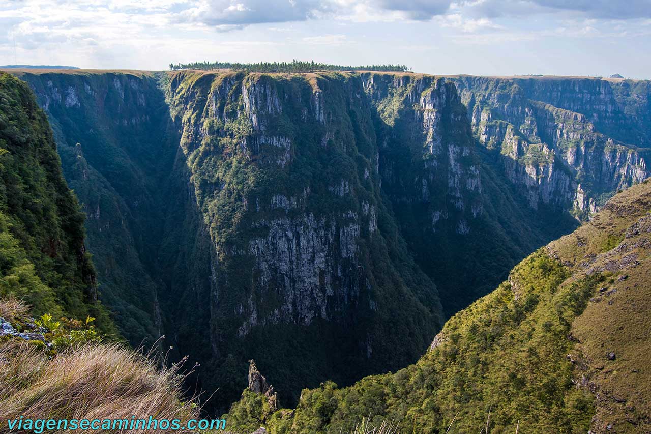 Monte Negro